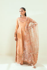 SS25DA-2694 ORANGE 2PCS EMBROIDERED PISHWAS WITH TROUSER