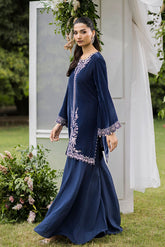 FW25DA-2834 Grey two-piece velvet kurta with ornate embroidery on neckline, sleeves, and hem, paired with flared trousers