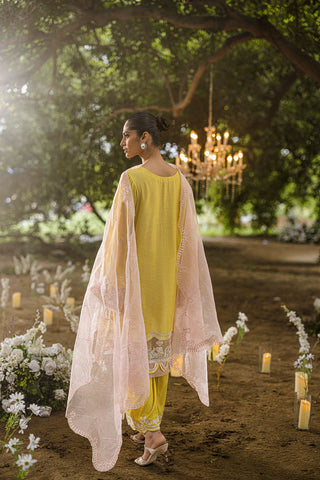 SS25DU-3206 YELLOW 3Pcs