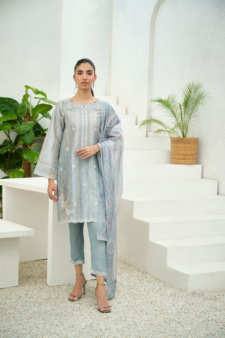 DA-2200 GREY 2PCS  EMBROIDERED KURTA WITH TROUSER