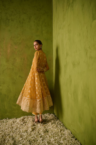 SS24DA-2479   MUSTARD  2PCS  EMBROIDERED KURTA WITH TROUSER