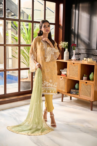 SS24DA-2386 MUSTARD 2PCS  EMBROIDERED KURTA WITH TROUSER