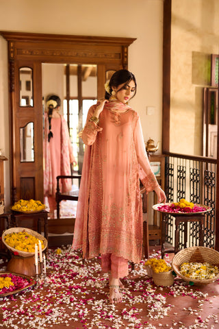 SS24DA-2366   RUST  2PCS  EMBROIDERED KURTA WITH TROUSER