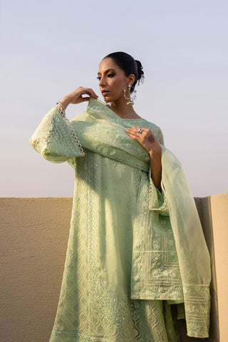 FW24DD-2654  LIGHT GREEN DUPATTA