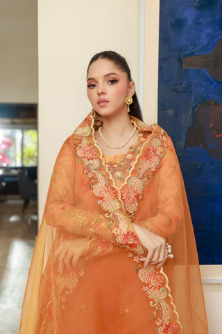 SS25DA-2716 Orange 2-piece printed chiffon kurta with floral embroidery and lace detailing on daman and sleeves.