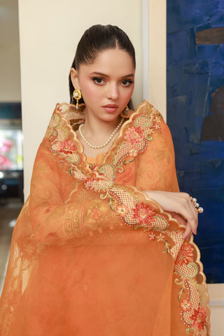 SS25DA-2716 Orange 2-piece printed chiffon kurta with floral embroidery and lace detailing on daman and sleeves.