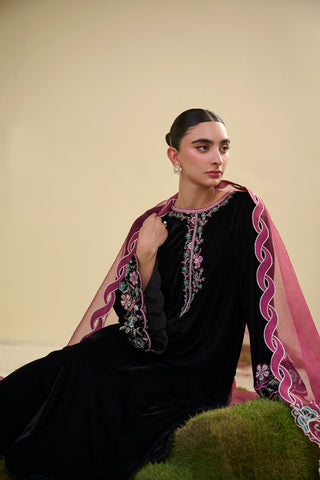 FW25DA-2815 Black 2-Piece: Exquisite black velvet ensemble featuring delicate floral embroidery in rose and teal tones.