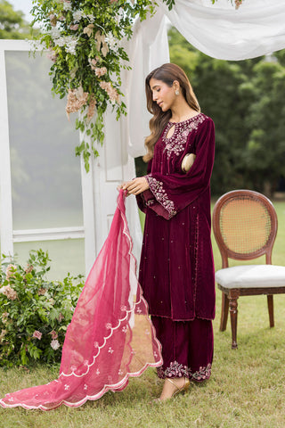 FW25DD-2816  MAROON  EMBROIDERED  DUPATTA