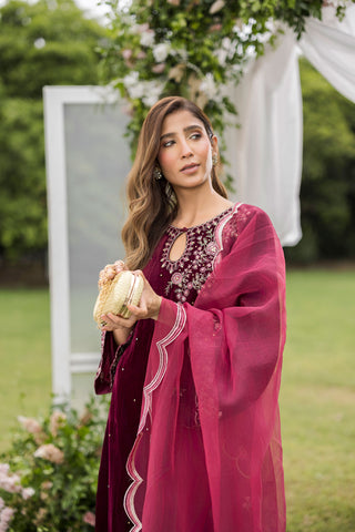 FW25DD-2816  MAROON  EMBROIDERED  DUPATTA