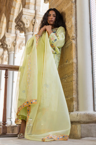 DUPATTA: SS26DD-2925  NEON GREEN EMBROIDED DUPATTA
