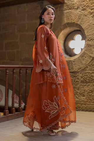 DUPATTA: SS26DD-2927  RUST EMBROIDED DUPATTA