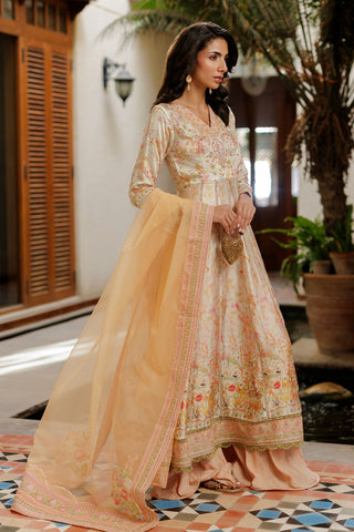 SS26DD-2932 PEACH  EMBROIDERY DUPATTA