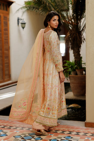 SS26DD-2932 PEACH  EMBROIDERY DUPATTA