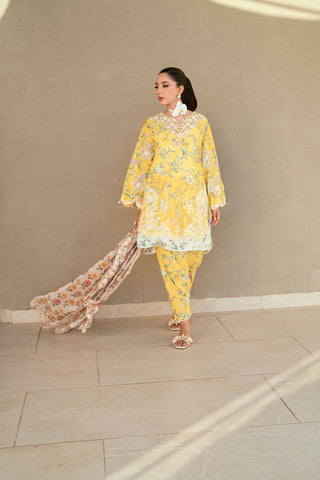 SS25DD-2534  MULTI DUPATTA