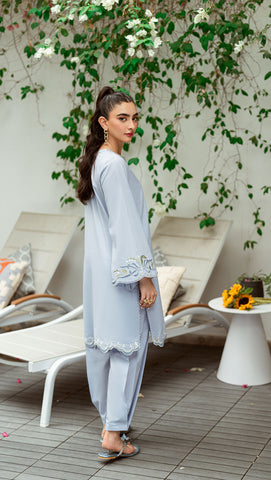 SS25DC-2567 Sky blue 2-piece ensemble with a sleek embroidered kurta and matching straight-cut pants.