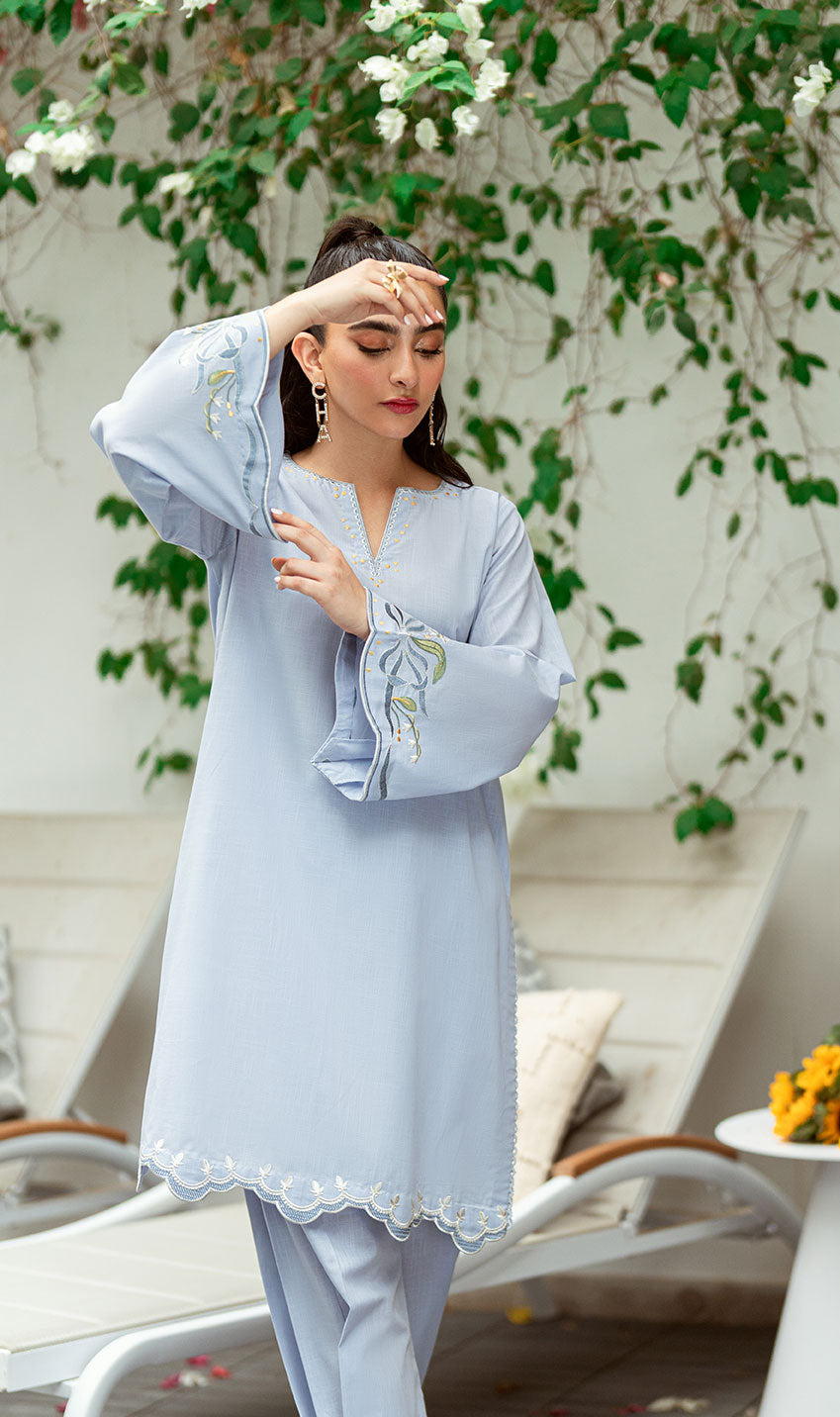 SS25DC-2567 Sky blue 2-piece ensemble with a sleek embroidered kurta and matching straight-cut pants.