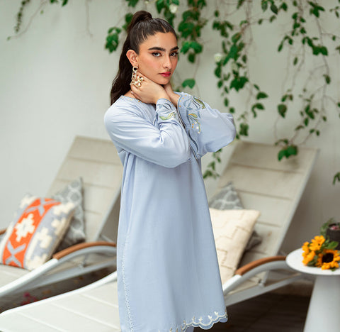 SS25DC-2567 Sky blue 2-piece ensemble with a sleek embroidered kurta and matching straight-cut pants.