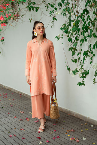 SS25DC-2573 Peach 2-piece ensemble featuring an embroidered kurta with delicate floral threadwork on the neckline and sleeves, paired with solid trousers.