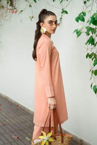 SS25DC-2573 Peach 2-piece ensemble featuring an embroidered kurta with delicate floral threadwork on the neckline and sleeves, paired with solid trousers.