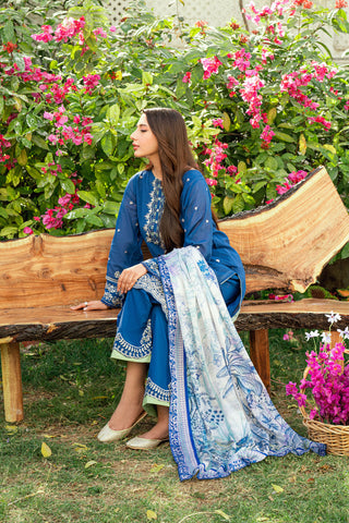SS25DD-2580  BLUE PRINTED DUPATTA