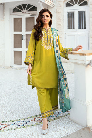 Olive Green 2-piece Swiss Voile ensemble with detailed embroidery on neck and sleeves - Dhanak SS26