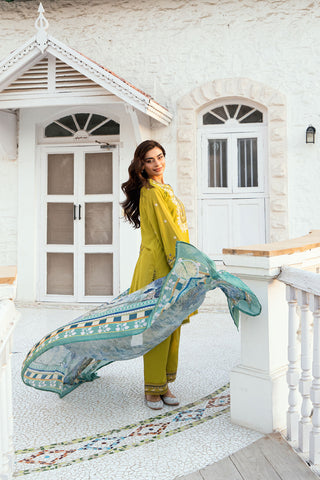 Olive Green 2-piece Swiss Voile ensemble with detailed embroidery on neck and sleeves - Dhanak SS26