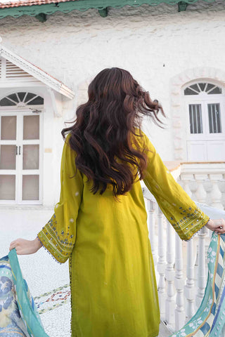 Olive Green 2-piece Swiss Voile ensemble with detailed embroidery on neck and sleeves - Dhanak SS26