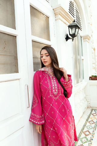 Soft Pink 2-piece Swiss Voile outfit featuring intricate embroidery on neckline, sleeves, and hem - Dhanak SS26