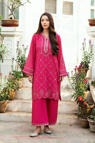 Soft Pink 2-piece Swiss Voile outfit featuring intricate embroidery on neckline, sleeves, and hem - Dhanak SS26