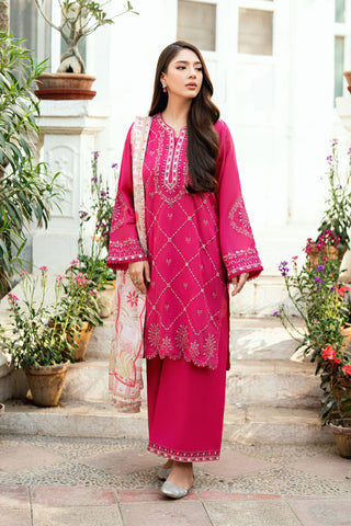 Soft Pink 2-piece Swiss Voile outfit featuring intricate embroidery on neckline, sleeves, and hem - Dhanak SS26