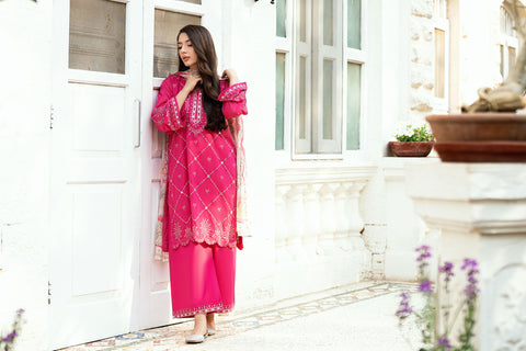 Soft Pink 2-piece Swiss Voile outfit featuring intricate embroidery on neckline, sleeves, and hem - Dhanak SS26