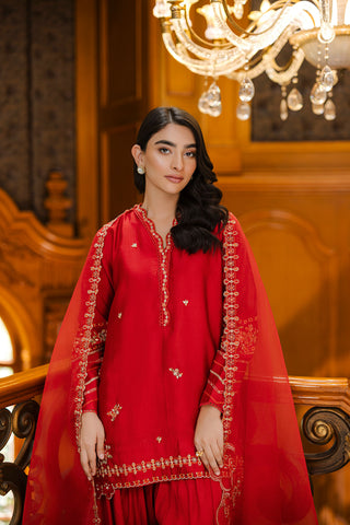 Timeless red 3-piece silk outfit with intricate embroidery on neckline, sleeves, and hem.