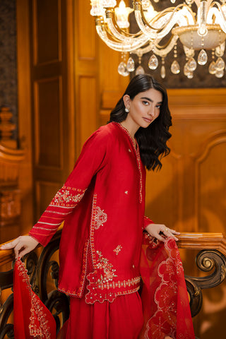 Timeless red 3-piece silk outfit with intricate embroidery on neckline, sleeves, and hem.