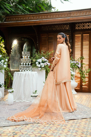 SS25DL-0330 PEACH 3Pcs