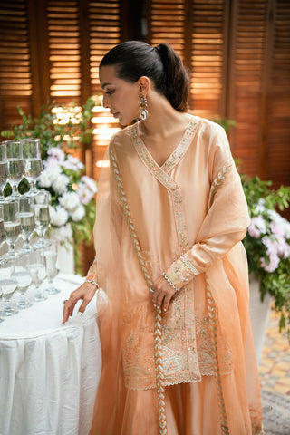 SS25DL-0330 PEACH 3Pcs