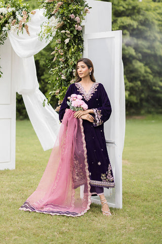 FW25DA-2830 Deep plum velvet shirt with shimmering accents and delicate embroidery on the neckline and flared sleeves