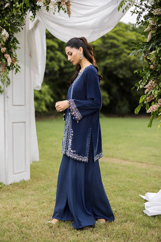 FW25DA-2834 Grey two-piece velvet kurta with ornate embroidery on neckline, sleeves, and hem, paired with flared trousers