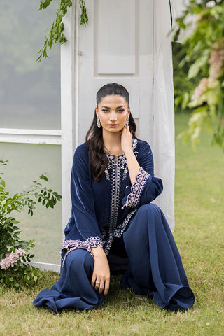 FW25DA-2834 Grey two-piece velvet kurta with ornate embroidery on neckline, sleeves, and hem, paired with flared trousers