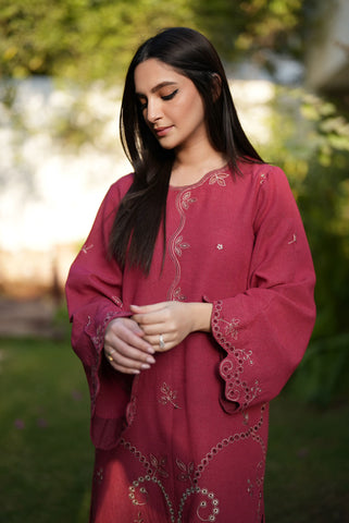 FW25DC-2880 Red 2-piece karandi ensemble featuring delicate embroidery and straight cut trousers.