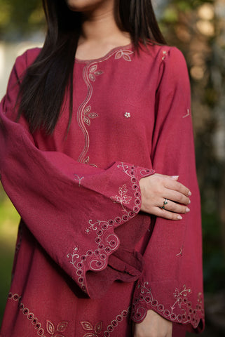 FW25DC-2880 Red 2-piece karandi ensemble featuring delicate embroidery and straight cut trousers.