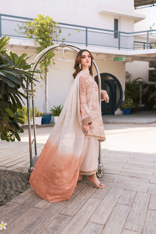 Silk Tunic - 2PCS HAND EMBELLISHED  SHIRT WITH TROUSER-SS24DA-2670 PEACH