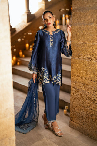 FW25DL-0347 BLUE 3PCS