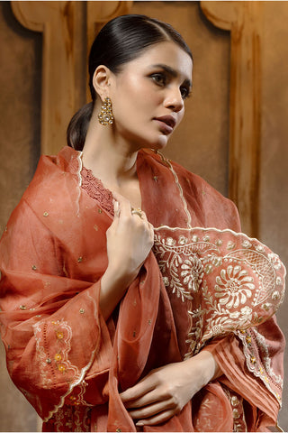DA-2075 RUST EMBROIDERED KURTA WITH DUPATTA
