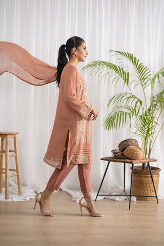 DA-2046 RUST EMBROIDERED KURTA WITH DUPATTA