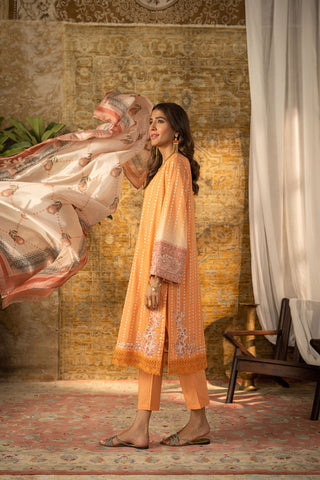 DC-2068 ORANGE 2PCS EMBROIDERED KURTA WITH DUPATTA