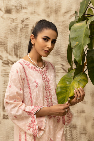 DC-0466 PINK DYED EMBROIDERED KURTA