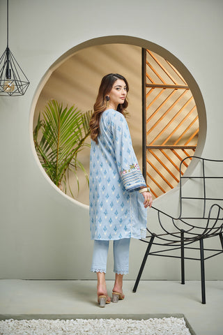 DC-2042 SKY BLUE 2PCS  EMBROIDERED KURTA WITH TROUSER