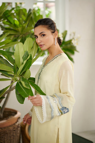DC-2082 LEMON 2PCS  EMBROIDERED KURTA WITH TROUSER
