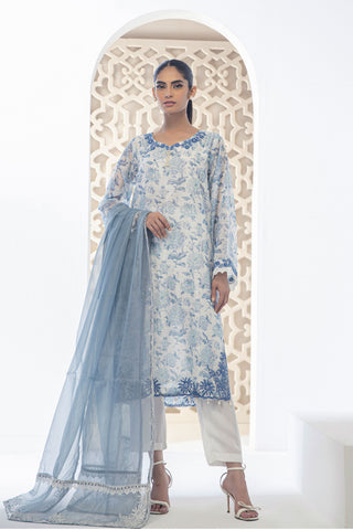 DD-0954  GREY DUPATTA