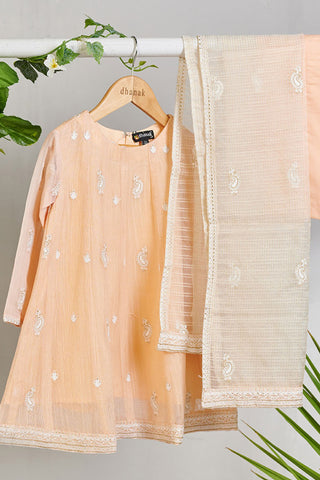 DK-0106 Peach 3PCs